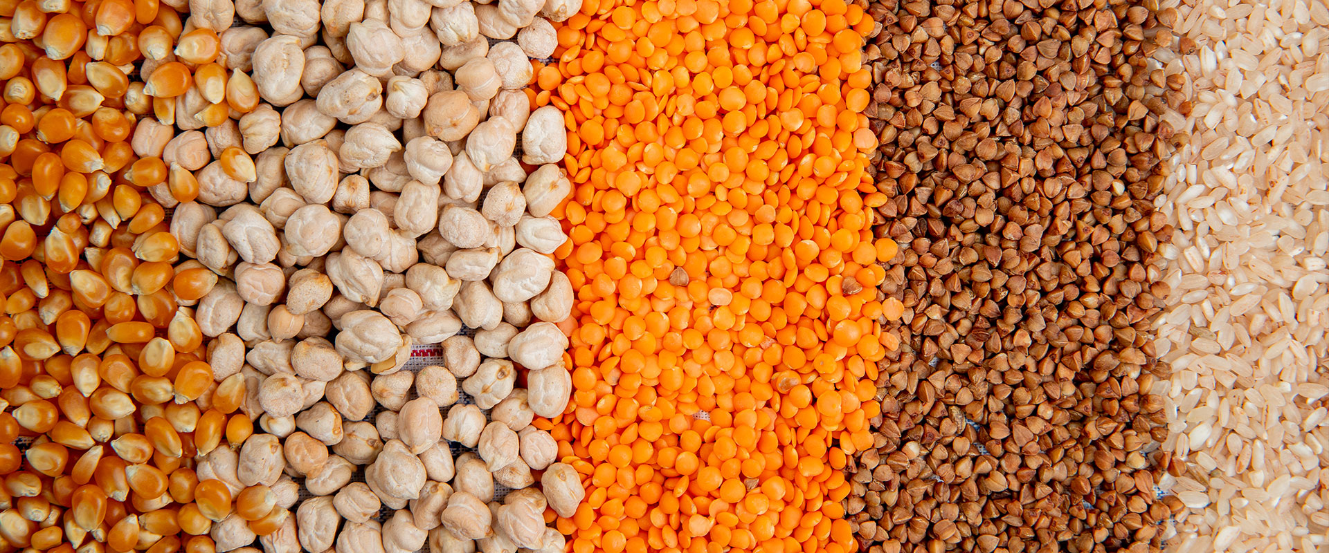 Kidney Beans