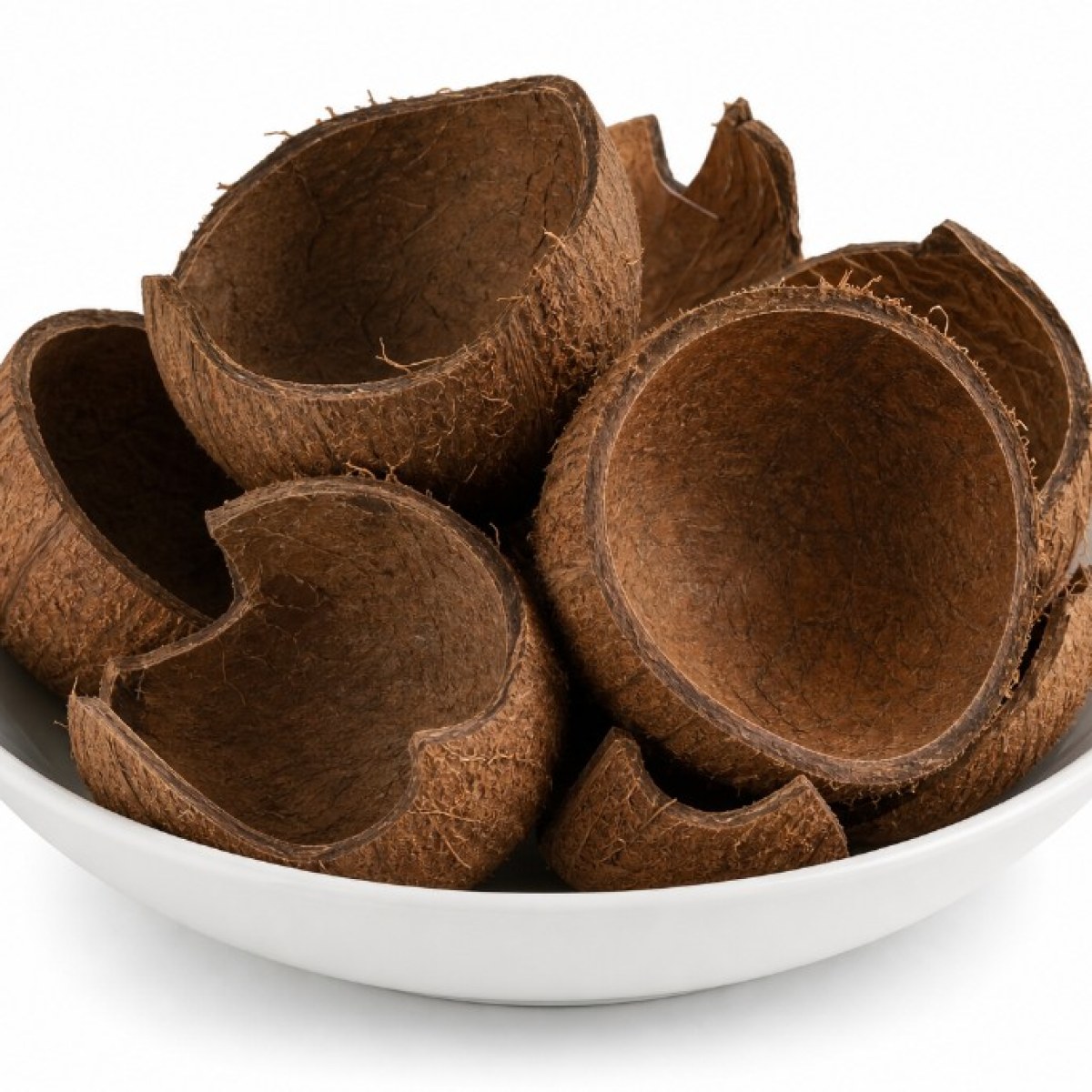 Coconut Shell