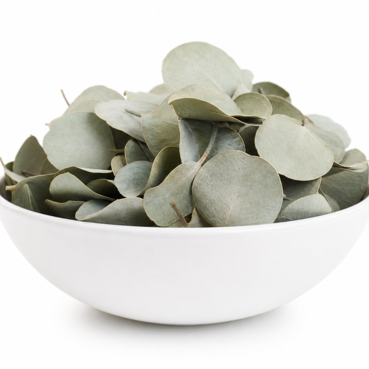 Eucalyptus Leaves