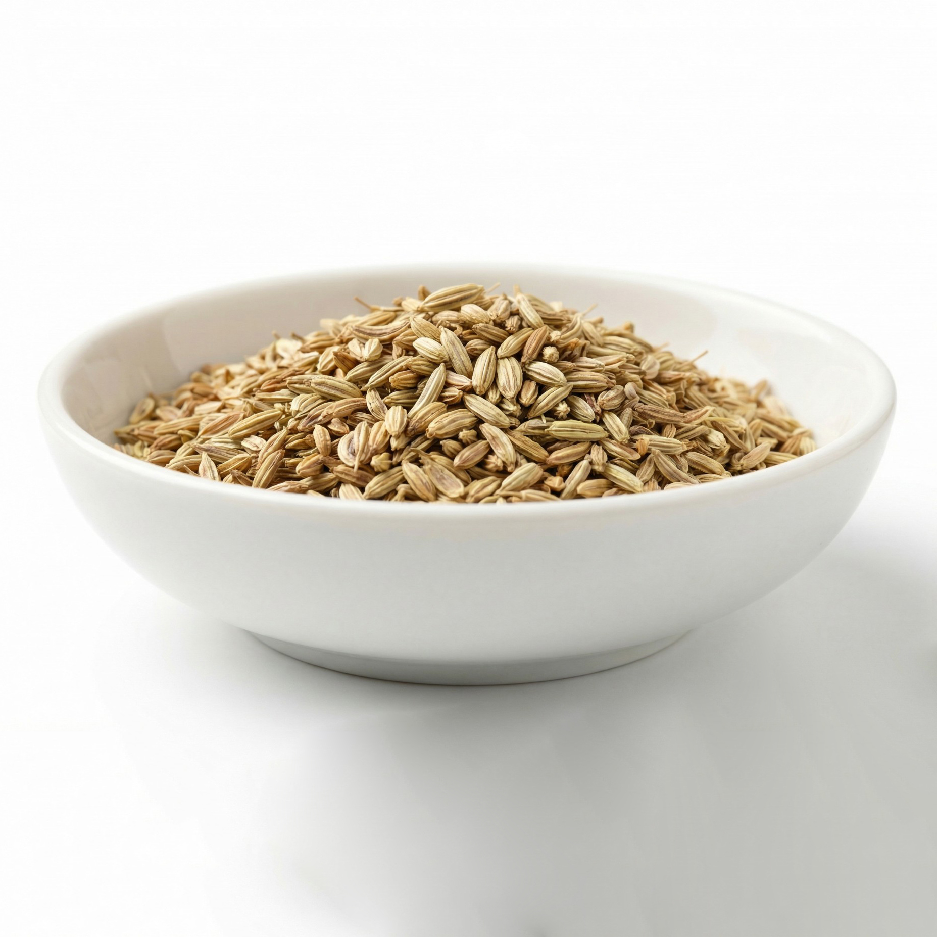 Fennel Seeds Roasted