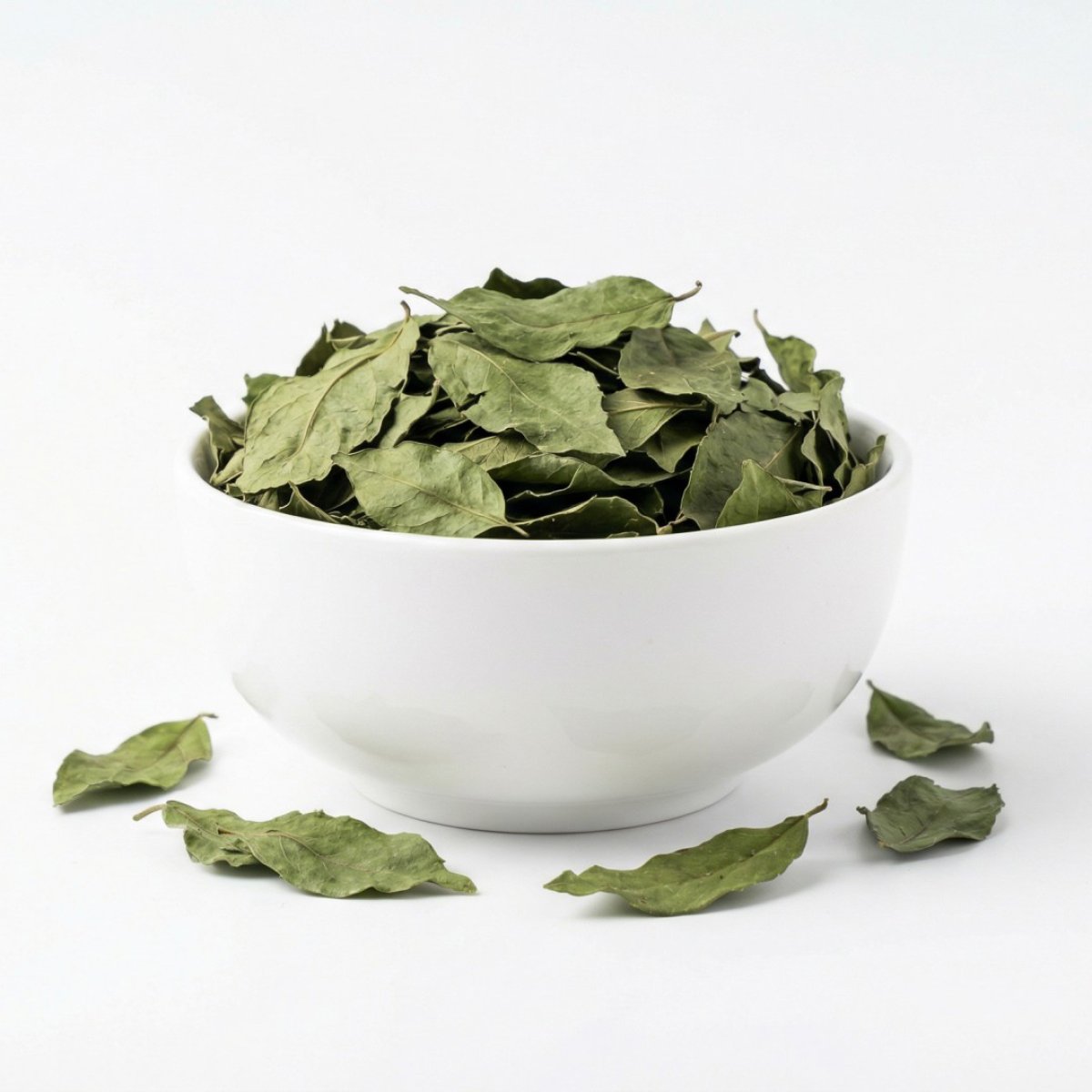 Gymnema Sylvestre Leaves