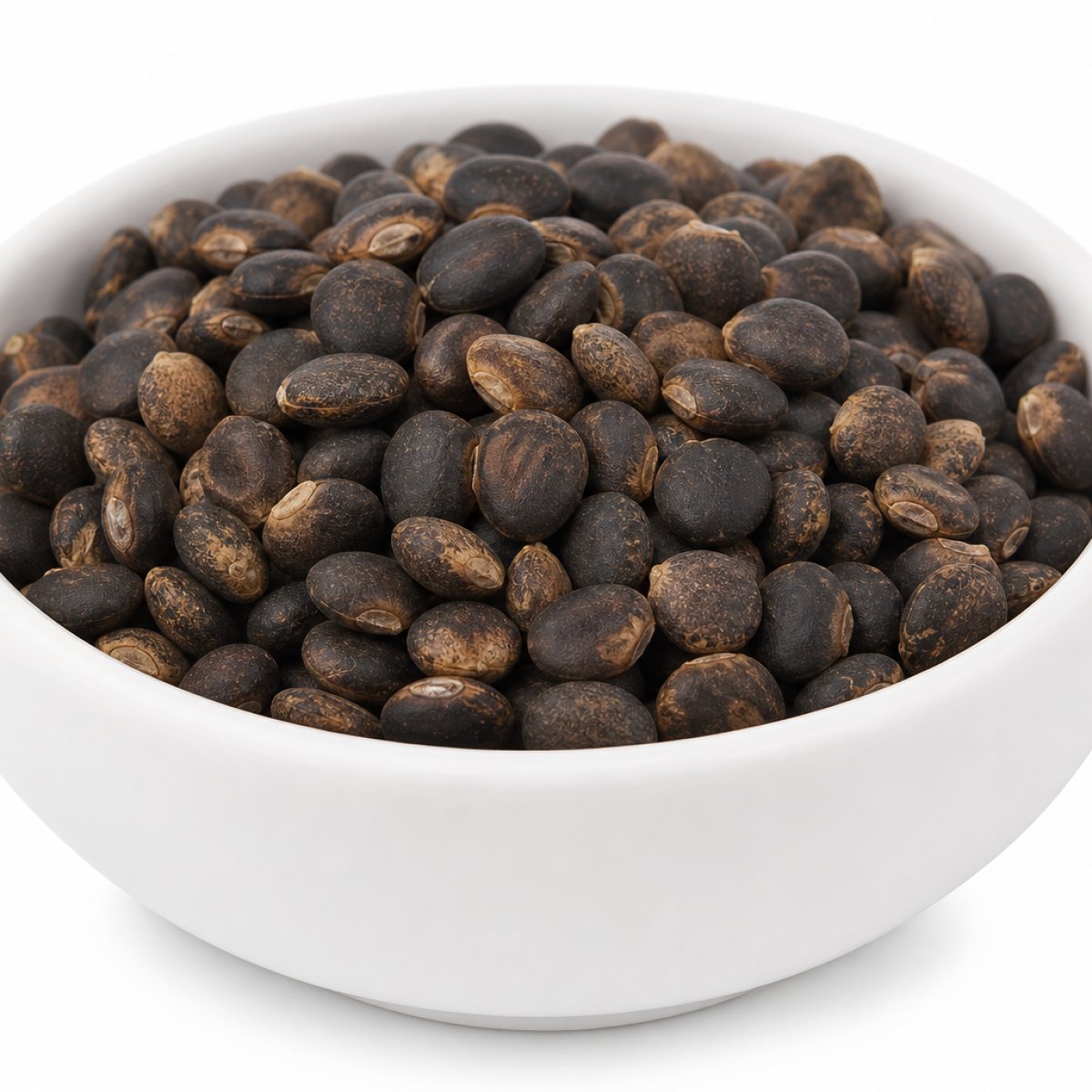 Semen Cassia Torea