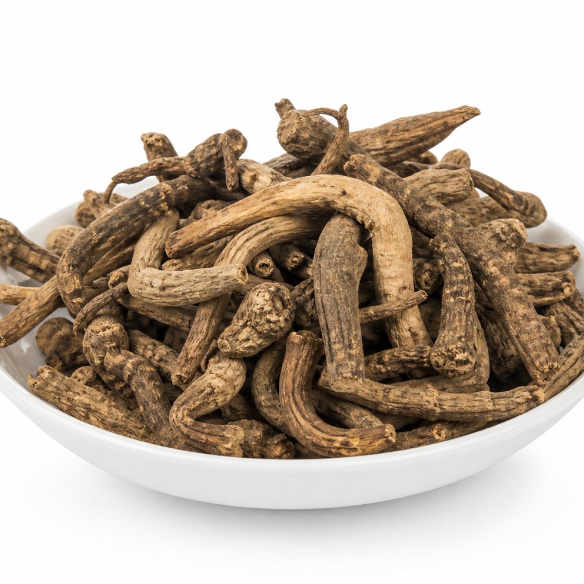 Senega Roots