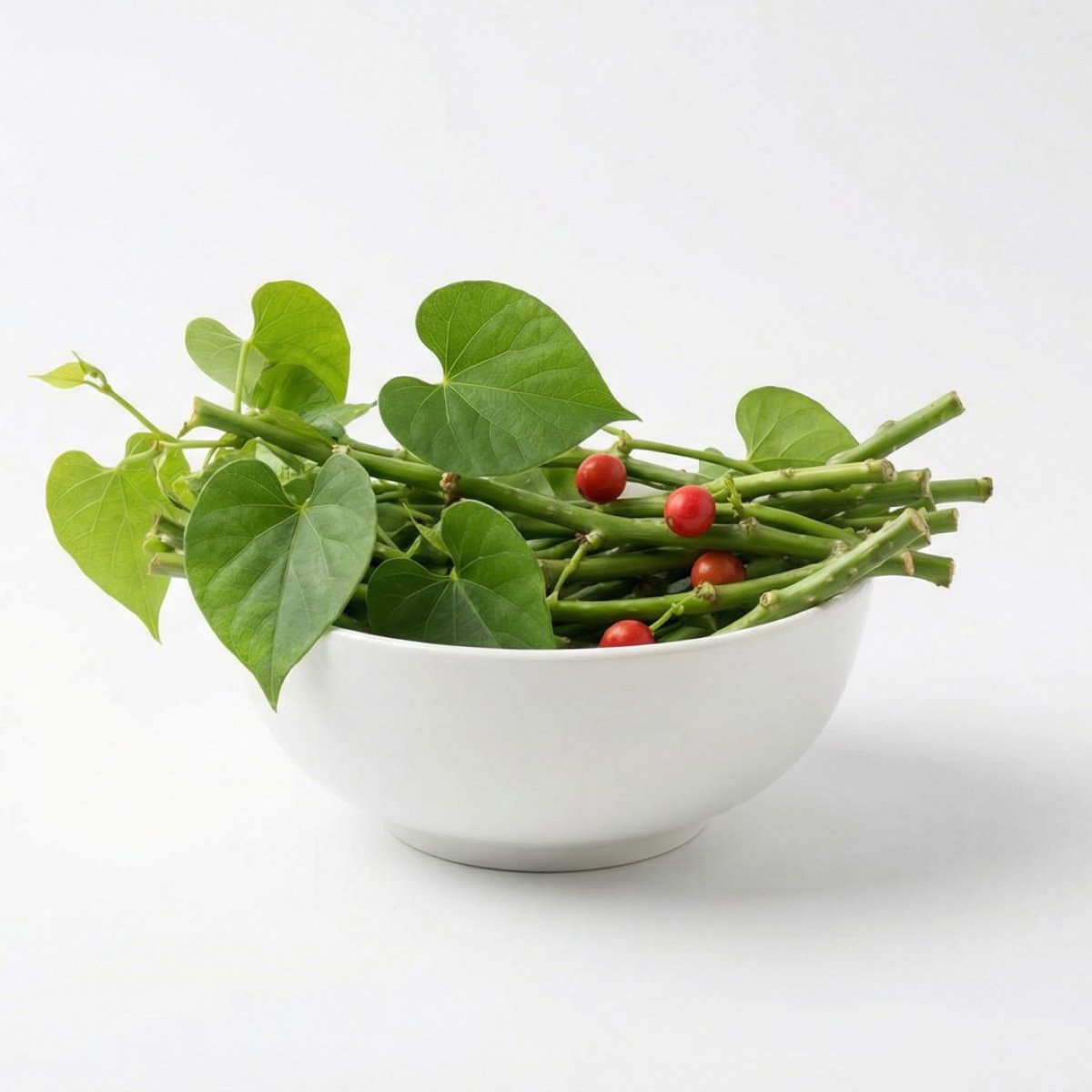 Tinospora Cordifolia